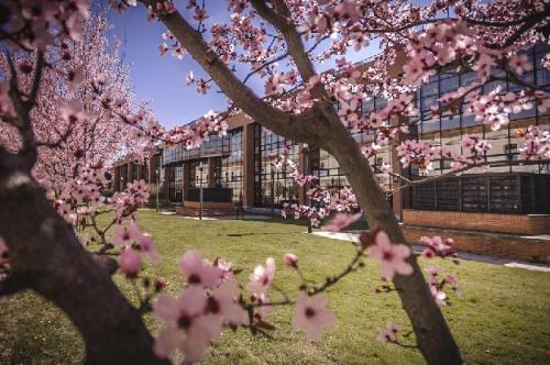 1004_281_1371209925721